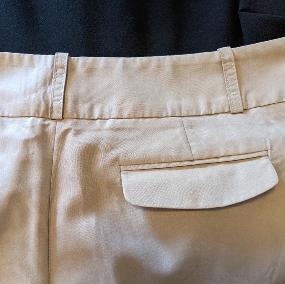 Ann Taylor Loft Cropped Tan Pants- Size 10P - Picture 3 of 6